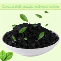 25 kg 粒状ココナッツ シェル活性炭ココナッツ シェル チャコール カーボン販売のための 1 キロあたりの価格