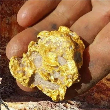 アクアリウム メディア フィルター活性炭