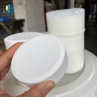 塩素 90% 200g トリクロロイソシアヌル酸 TCCA 消毒用漂白剤