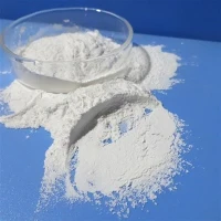 ベストプライス 漂白剤 塩素系化学薬品 65% 70% 次亜塩素酸カルシウム
