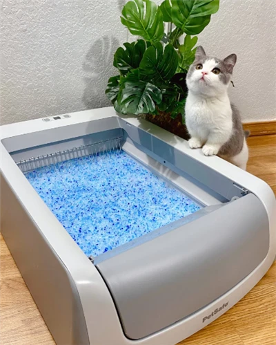 豆腐猫砂無料サンプルペットクリーニング用品卸売シリカゲル猫砂
